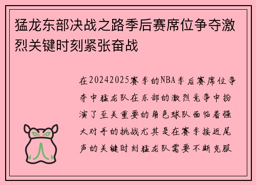 猛龙东部决战之路季后赛席位争夺激烈关键时刻紧张奋战