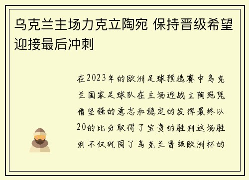 乌克兰主场力克立陶宛 保持晋级希望迎接最后冲刺